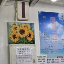창동회센타 이미지