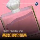 미학개론 | 종합미용면허증 도전 후기