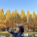 미식&포토스팟 코스 | [오산] 가을 단풍 핫플 추천! 🍁오산 가볼만한곳 포토스팟📸나들이 코스 “물향기수목원” 후기