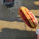 이층집뼈다귀 이미지