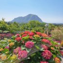 (주)동산환경개발