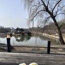 다솔주유소 이미지