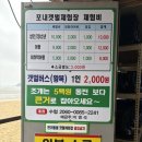 무의도 포내 갯벌체험 후기 물때 확인 필수! 비용 트랙터 꿀팁 총정리