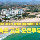 끝! 코 앞 해변 + 야외 바베큐까지 완벽한 '속초고성오션투유리조트' 후기, (feat.반려견과도 함께 가능)