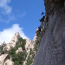 석이농장 이미지