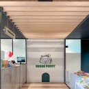 어반퍼피 이미지