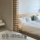 강릉 씨마크호텔 후기 룸컨디션 수영장 헬스 부대시설 강릉 호텔 추천