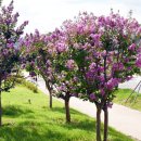 포리 소공원 이미지