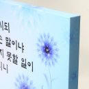 NF001 이미지