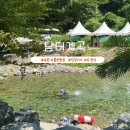 별헤는밤 캠핑장 | 경기북부 가볼만한곳 포천 담터계곡 민수캠핑장 당일치기 평상