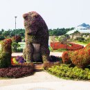 코리아플라워파크 이미지