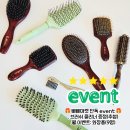 헤스티아뷰티 | 헤스티아 브러쉬 공구 event 오나라 멧돼지털 빗 황금 돈모 볼륨뽕