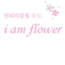 아이엠플라워