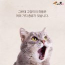 하품