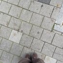 비에이치씨 인천숭의점 | 체인소맨