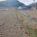 푸른들행정사무소 이미지