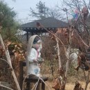 배나무펜션 이미지