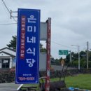 은미 이미지