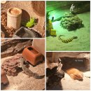 곰치농장 | [부천 가볼만한곳] 플레이아쿠아리움 솔직후기🐠 아이랑 가기 좋아요! 할인 방법까지✔️