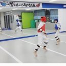 용인대 정의태권도 이미지