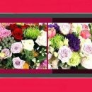 교동꽃화원 이미지