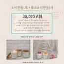 샤인플랜트 네이버블로그