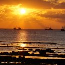 오로제주 이미지