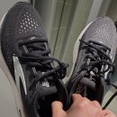 성동로터리 | 무신사 런 서울숲ㅣ러닝화 대여 후기 한강까지 13km 달려보기