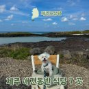나라애견본점 | 제주 애견동반 식당 BEST 7