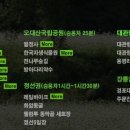 별빛사냥 이미지