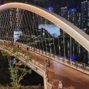 미사189 코다리 이미지