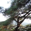 평창강로 이미지