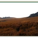 성당새마을금고앞 이미지