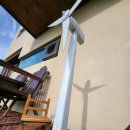 판판포포 이미지