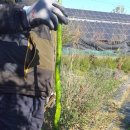 율현농장 이미지