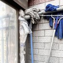 일산주엽제일튼튼의원 | 고양시 일산 완강기 설치 비용 기준 업체