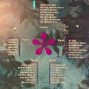 화이트 독 | 송파와인바 퍼플독 송파본점｜와인 초보도 즐기는 와인 테이스팅 클래스 후기🍷