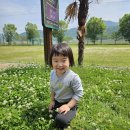 영어 &amp; 생각키우기 🟡🟩🩷 &amp; 앵두서리🍒 &amp; 자연놀이(교육관에 5월에는 어떤 꽃이 필까요?) 이미지