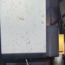 어둔(여) 이미지