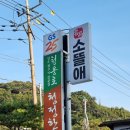 소뜰애 | 제천 정육식당 음식점 한우 숯불구이 소고기 소뜰애 아쉬운점 솔직 후기