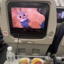 467 | 🇰🇷✈️ 대한항공 KE467 나트랑행 비행 후기 🇻🇳🌴