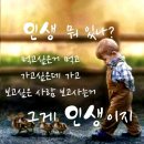 건강을 위해서는 술을 줄이는 방법이 최고 ( 상당수 알콜성 치매 ) 이미지