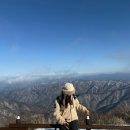 자인공단카써비스 | 무주 덕유산 설천봉·향적봉·상제루 겨울 등산 후기, 실시간 CCTV 확인하는 법, 덕유산 곤돌라, 케이블...