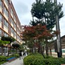 남수원중학교 | 남수원중 토익 시험 후기｜수원 토익 시험장 후기 및 준비 팁 정리