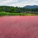 렛츠런파크 제주 이미지