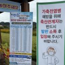 연천-10 | [경기/연천] &#39;임진강 댑싸리정원&#39; 댑싸리 축제 10월 방문 후기 / 연천 가볼만한 곳 댑싸리 코스모스