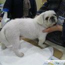 백두동물병원 이미지