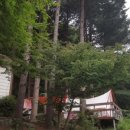 오카나간캠핑장 이미지