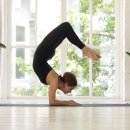 씨드요가 이미지