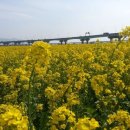 대저생태공원 이미지